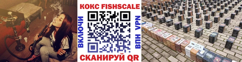 Купить  Дальнегорск  COCAIN FishScale 