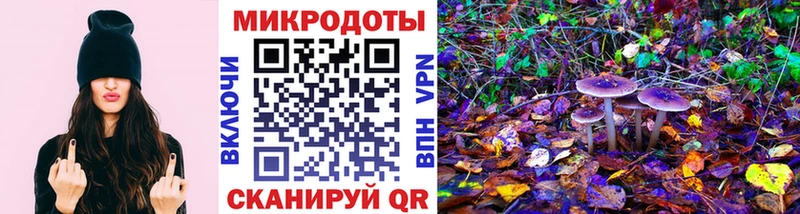 Купить  Дальнегорск  Псилоцибиновые грибы GOLDEN TEACHER 